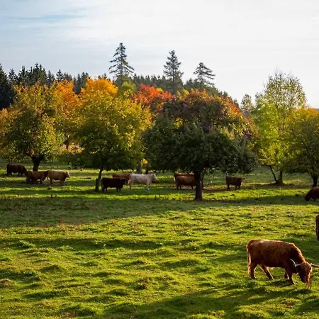Im Waldviertel Apartman