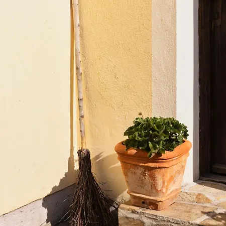 Im Waldviertel * Zwettl