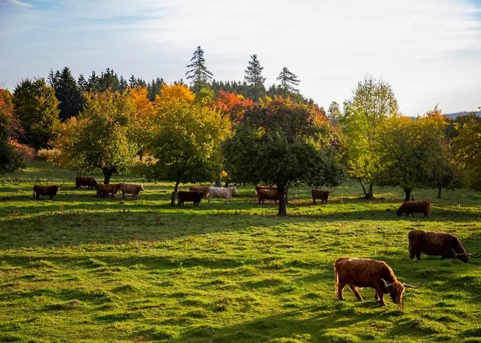 Im Waldviertel Appartement