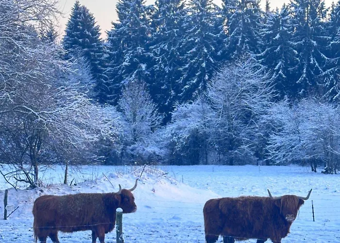 Im Waldviertel Appartement Zwettl
